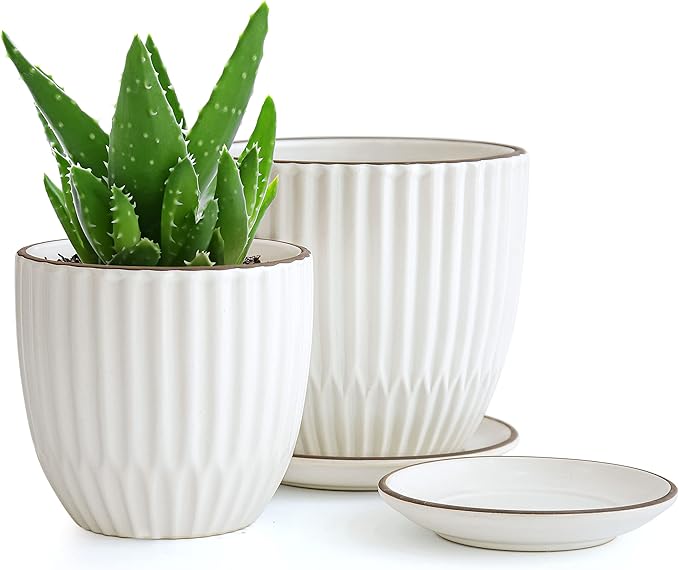 D'vine Dev Set of 2 Stoneware Planter Pots, Ceramic Pot with Drainage Hole and Saucers, 4.5 Inch 5.8 Inch, Ivory, 99-D-1