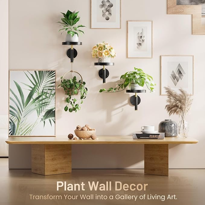 YUOROS 3 Pack Wall Plant Holder Wall Planters for Indoor Plants Hanging Window Plant Shelves Hanger Decor (Black)