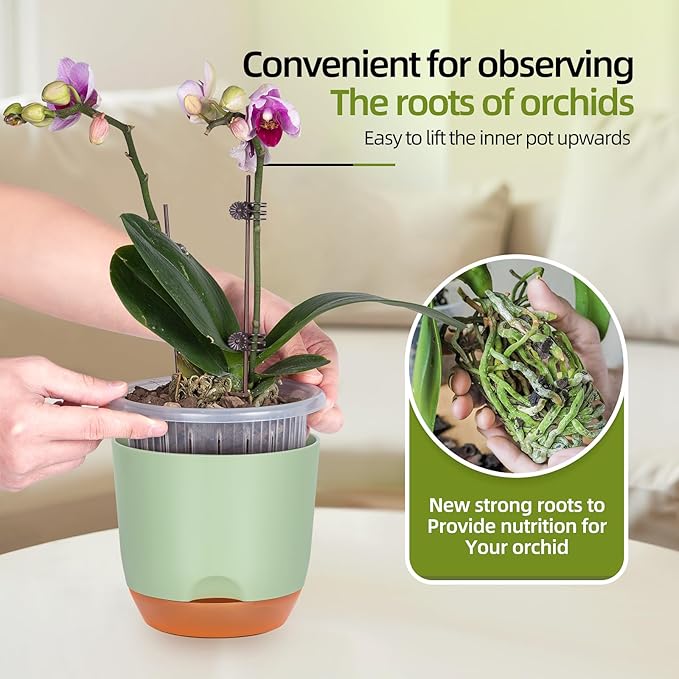QCQHDU 2 Pack 5.7 Inch Orchid Pots with Holes for Repotting, Double-Layer and Self Watering Orchid Pot with Good Air Circulation