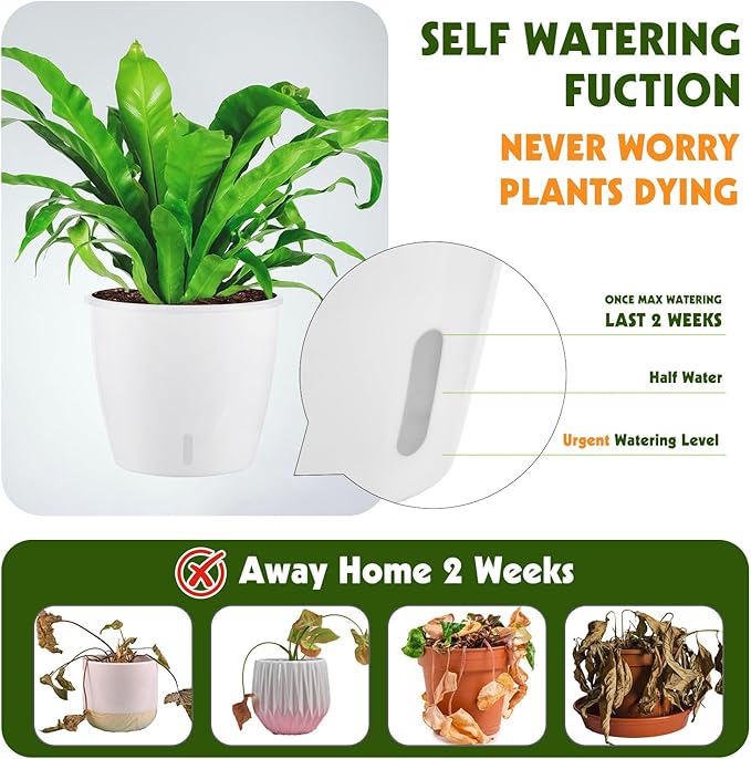 Self-Watering Pots for Indoor Plants, 12-Pack 5'' Self Watering Planter with Drainage Holes, Small African Violet Pots with Water Indicator, Clear Wick Pot, White