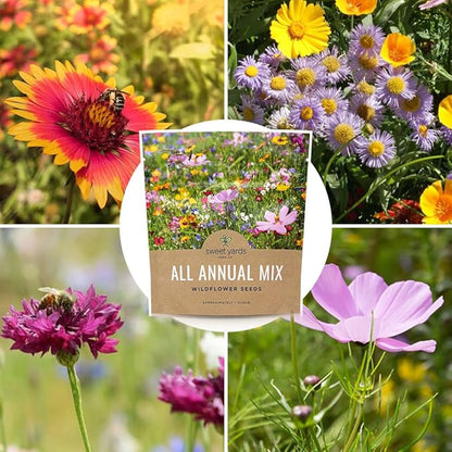 Wildflower Seeds Annual Quick Blooming Mix - Large 1 Ounce Packet Over 7,500 Open Pollinated Seeds