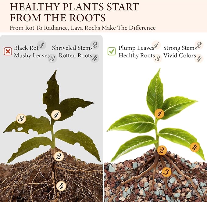 10LB Lava Rocks for Plants-3/8 Volcanic Rock for Succulent Potting Mix, Cactus, Orchids & Bonsai-Porous Horticultural Grit for Drainage, Aeration & pH Balance - Decorative Top Dressing