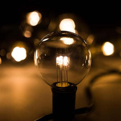 Hometown Evolution, Inc. 50 Foot LED G50 Globe String Lights (Black Wire) with LED 2 Inch 0.6 Watt Bulbs