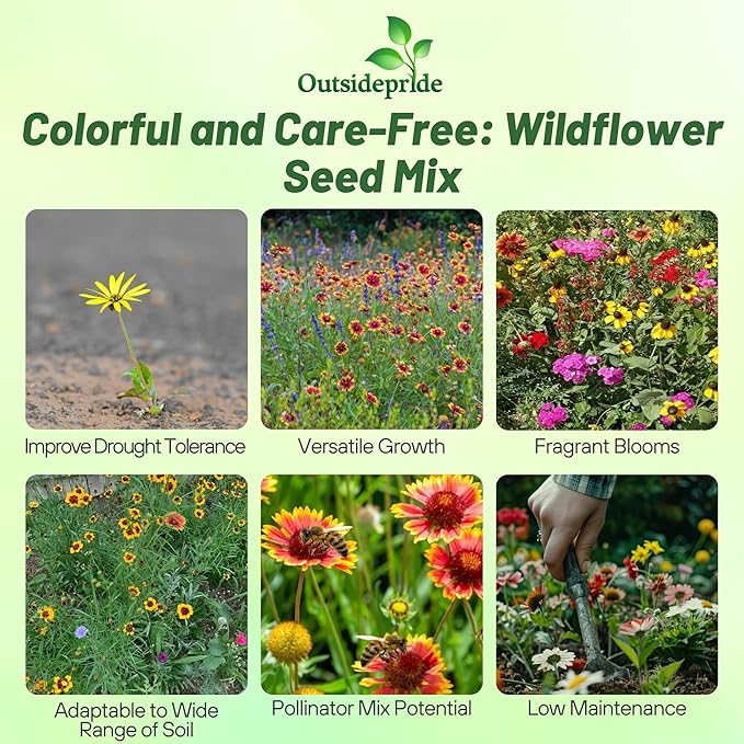 Outsidepride Southeast Wildflower Seed Mix - 1 lb Highly Adaptable, Easy to Grow, Low-Maintenance Mix of Annual & Perennial Wildflower Seeds for Natural Landscapes in Southeastern States