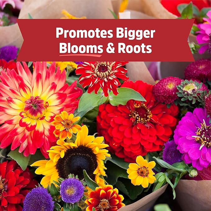 Back to the Roots Organic Bone Meal with Gypsum (3lb, Pack of 4)