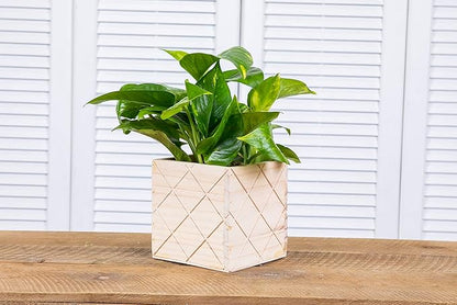 Wood Planter Box with Diamond Cross Hatch Style, 5 Inch Square, Rose Wood, Plastic Liner, Wedding Flowers Holder, Home and Venue Decor (5x5 Diamond Cross Hatch Set of 4, Rose Wood)