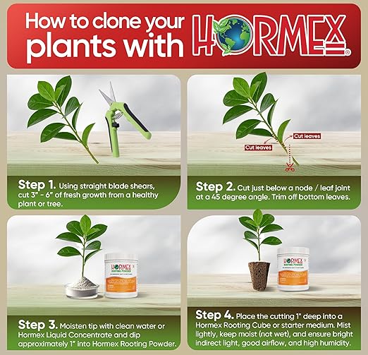 Hormex Rooting Powder #3 (0.30 IBA) - Fast-Acting Rooting Hormone for Common Home & Garden Cuttings - Root Stimulator for Plant Cloning - Strong Growth for Maximum Propagation Success, 1LB