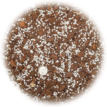 GARDENERA Palm Tree Potting Mix - The Ultimate Soil for Strong and Healthy Palms - Top Choice for Palm Tree Growers ? [20 Quart Bag]