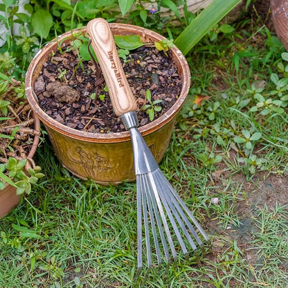 Berry&Bird Gardening Hand Shrub Rake, 14.7" Stainless Steel Grass Rake, 9 Tines Fan Lawn Leaf with Ergonomic Wooden Handle, Small Hand Rake for Sweep Leaves & Loose Debris in Garden, Lawns and Yards