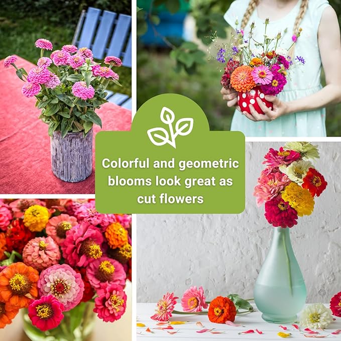 Sow Right Seeds - Classic Zinnia Flower Seeds Collection - Five Packets with Full Instructions for Planting - Luminosa, Canary Bird, Purple Prince, Polar Bear, and Thumbelina - Colorful Annual Blooms