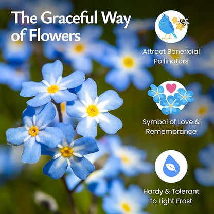 Created by Nature Forget Me Not Seeds, 5,000 Blue Biennial Wildflower Seeds