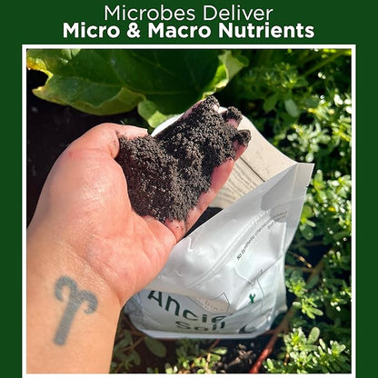 Elm Dirt Premium Ancient Soil for All Plants - Organic Plant Soil for Outdoor Plants & Indoor Plant Soil | Garden Soil for Plant Nutrients Growth & Protect your Plants Bugs - Roots Organic Soil (4lbs)