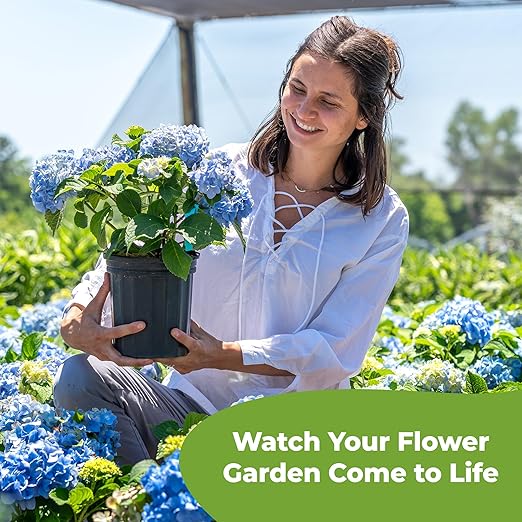 Advanced Bloom Booster Flower Fuel by Perfect Plants | Water Soluble & High Nutrient Fertilizer for Beautiful Flowers and Fruit Such as Rose, Blueberry, Plumeria, and Hydrangea (226 Grams)