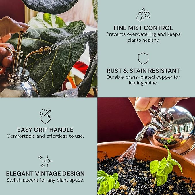 Sustainable Village 2 Pack Nickel Mister