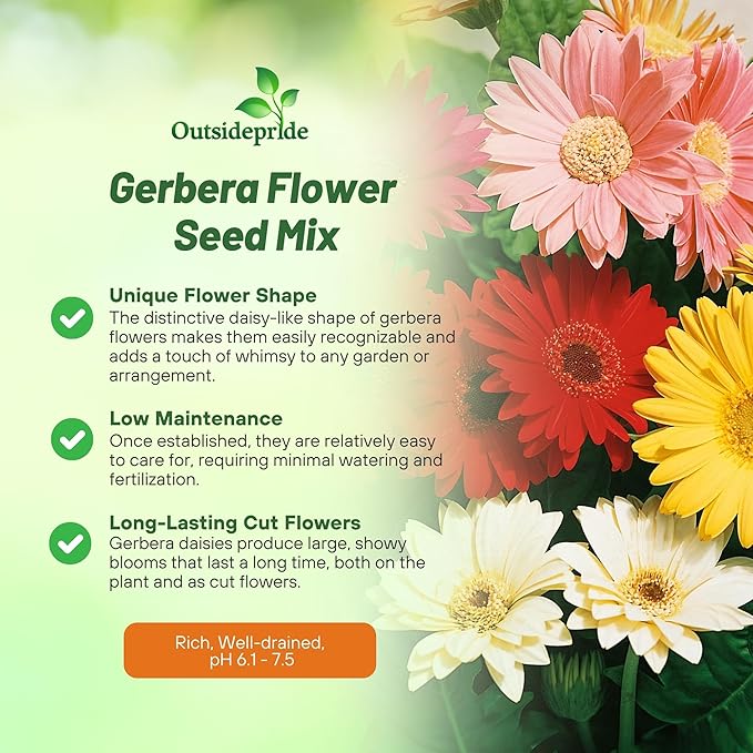 Outsidepride Hybrids Mix Gerbera Seeds - 200 Pcs Perennial, Compact & Low Maintenance, Flower Seeds for Planting w/Vibrant Mixed Blooms, Ideal for Garden Landscaping & Cut Flower Arrangements