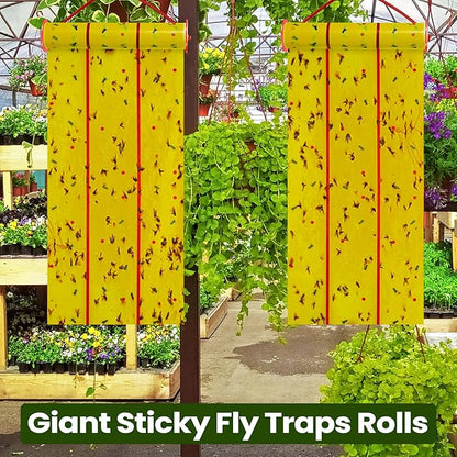 Qualirey Giant Sticky Fly Traps, Fly Strips for Indoor Outdoor Hanging Flying Tapes Non Toxic Ribbon Fruit Gnat Killer for Mosquito Plants House Horse Stable(30 ft,Yellow,5 Pcs)