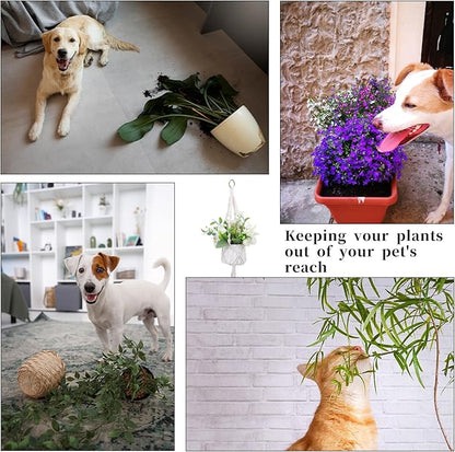 Macrame Plant Hanger, 2 Pack Boho Hanging Planters Baskets with Hooks, Crochet Braided Cotton Rope Flower Pot Holder for Indoor Outdoor Home Decor, No Tassels, Ivory, 20 Inches