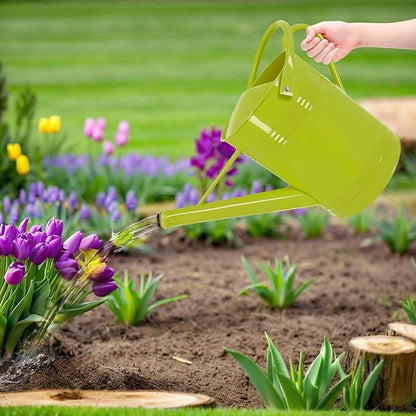 Metal Watering Can for Outdoor Plants, 2 Gallon Galvanized Steel Watering Can with Removable spout (Green)