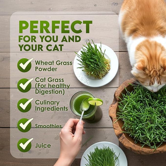 Nature Jims Sprouts Wheat Grass Seeds – Non-GMO Organic Seeds for Planting, Cat Grass Kit Planter & Sprouting –Resealable Bag for Fresh Wheatgrass Sprouts – Packed with Vitamins, Fiber & Minerals–16oz