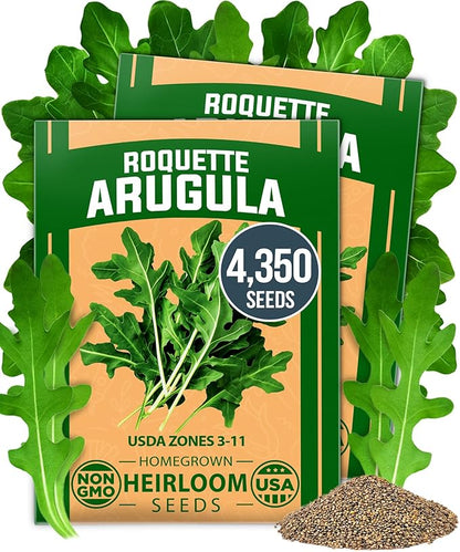 HOME GROWN Arugula Seed 2 Pack – 4350 Vegetable Seeds – Non GMO Ideal Seeds for Hydroponic Garden Indoor – Premium and Heirloom Arugula Seeds for Planting (Eruca vesicaria)