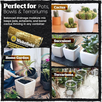 Wakefield Biochar Blend Potting Mix for Cactus & Succulent – Premium Potting Soil Blend with CarbonBoost Technology for Superior Drainage, Moisture Retention & Root Growth – 2 QT Organic Soil Mix