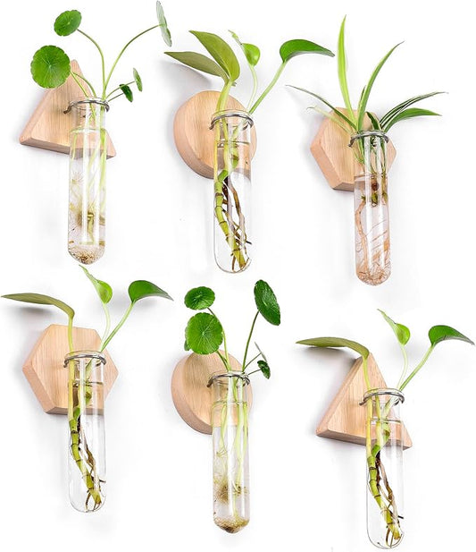 MITIME Wall Hanging Planter Glass Plant Propagation Station,Geometric Wooden Stand for Home Office Decoration.