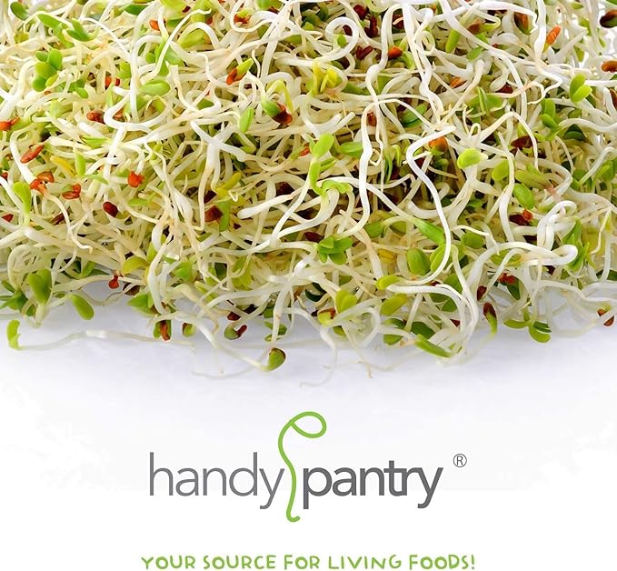 Organic Sprouting Seed Mix – 2.5 lb – 10 Varieties: Alfalfa, Mung Bean, Broccoli, Lentil, Clover, Buckwheat, Radish, Bean Salad, More