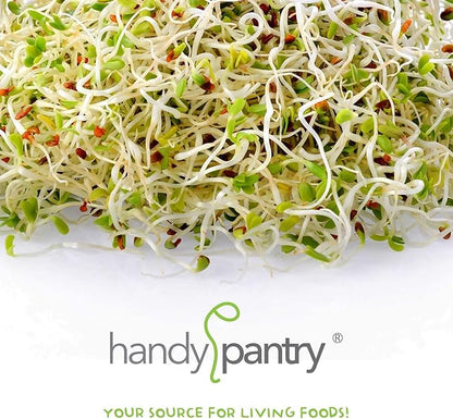 Organic Sprouting Seed Mix – 2.5 lb – 10 Varieties: Alfalfa, Mung Bean, Broccoli, Lentil, Clover, Buckwheat, Radish, Bean Salad, More