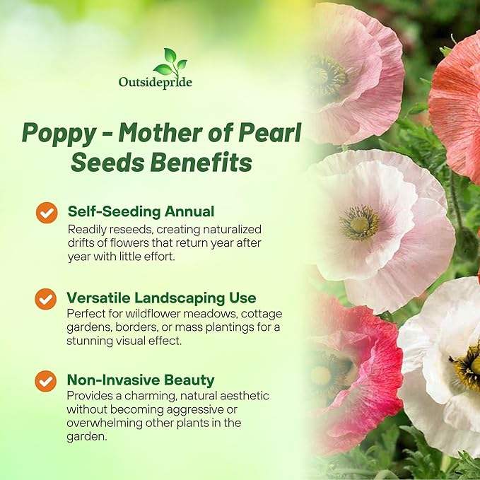 Outsidepride Mother of Pearl Poppy Seeds for Planting - 500 Pcs Annual, Drought-Tolerant & Easy to Grow Wildflower Seeds with Vibrant Mix Blooms for Landscaping, & Pollinator Garden