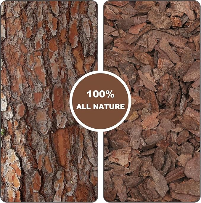Orchid Bark 2qt, Natural Pine Bark Mulch for Plants, Great for Orchids, Succulents, Cactus, Bonsai, Ideal for Houseplant Mulch
