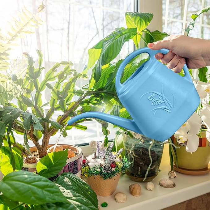 Watering Can - for Home Plant Garden - 1 Gallon - Sky Blue