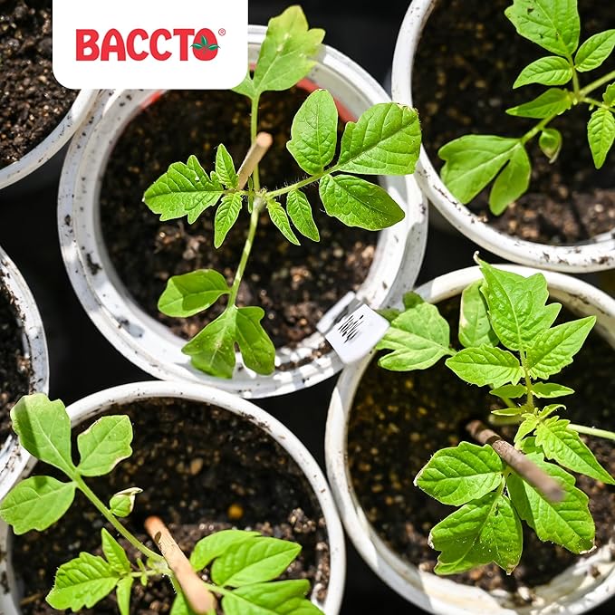 Michigan Peat 6-Pack Compost and Manure Blend, Garden Magic Mix w/Odor-Free Blend, 40 Lbs - Outdoor Lawn and Gardening Mixture with Nutrients and Minerals for Soil Potting and Planting