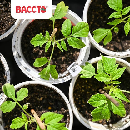 Michigan Peat 6-Pack Compost and Manure Blend, Garden Magic Mix w/Odor-Free Blend, 40 Lbs - Outdoor Lawn and Gardening Mixture with Nutrients and Minerals for Soil Potting and Planting