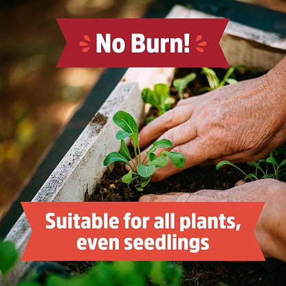 Back to The Roots Organic Worm Castings for Plants, Natural Fertilizer and Soil Enhancer for Gardening, Made in The USA, 5lb