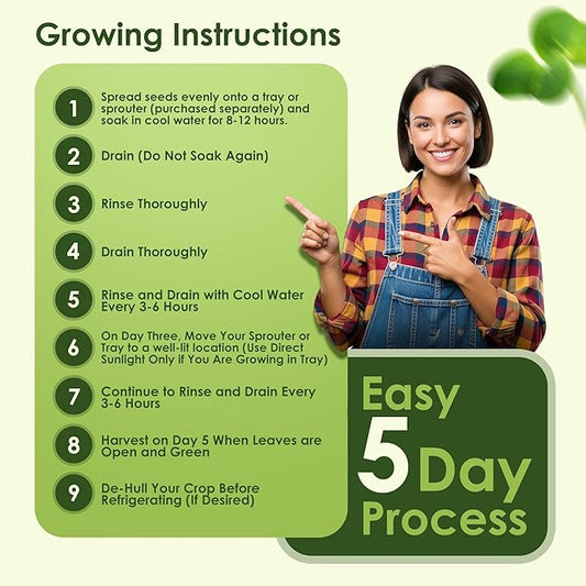 Nature Jims Broccoli Sprouts & Radish Seeds – Organic Broccoli Sprouts, Organic Radish Seeds, Non-GMO for Indoor/Outdoor Growing, Microgreens Bundle, 8oz + 16oz