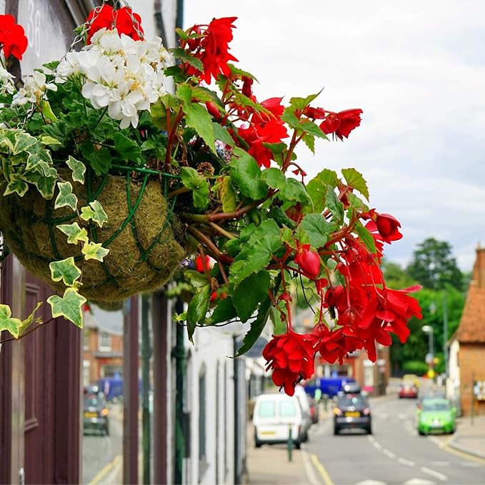 Halatool 2 PCS 10 Inch Round Coco Liners Hanging Basket 100% Natural Replacement Coconut Fiber Liner for Garden Flower Pot Vegetables Herbs