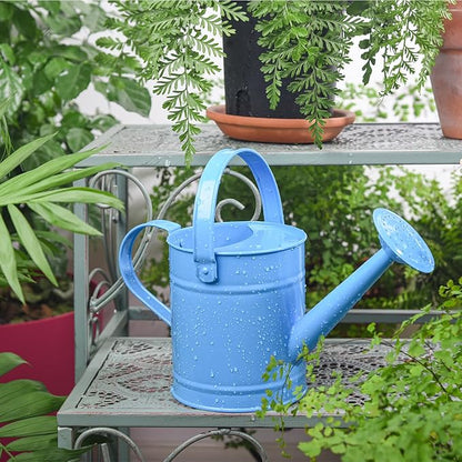 Sungmor 1.5 Liter Small Bright Blue Watering Can for Indoor Outdoor Plants, Cute Little Kids Gardening Watering Cans, Lightweight Portable Metal Watering Can, Anti-Rust Pretty Bucket Watering Device