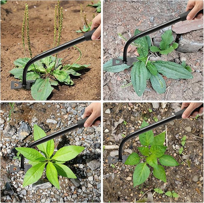 Gardening Hand Weeder Tools, 6 Teeth Uprooting Weeding Tool Multifunctional Manual Hand Weeder for Lawn Garden, Crack Weeder Crevice Weeding Tool, 3 PCS