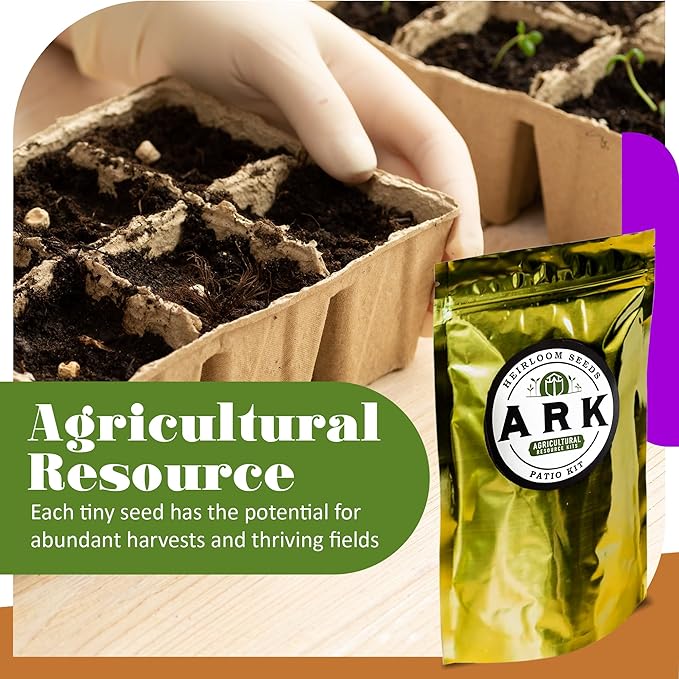 Patio Kit - 2000 Seeds for Red Cherry Tomato, California Bell Pepper, Boston Pickling Cucumber, Berry Belle Radish, Salad Bowl Lettuce, Basil, & Cilantro - Indoor and Outdoor Gardening