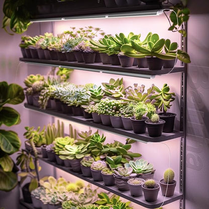 Barrina 2FT T8 Grow Light, 144W(6 x 24W, 800W Equivalent), Full Spectrum Sunlight Plant Light, LED Grow Light Bulbs for Indoor Plant Growing,with V-Shaped Reflector, Pinkish White, 6-Pack