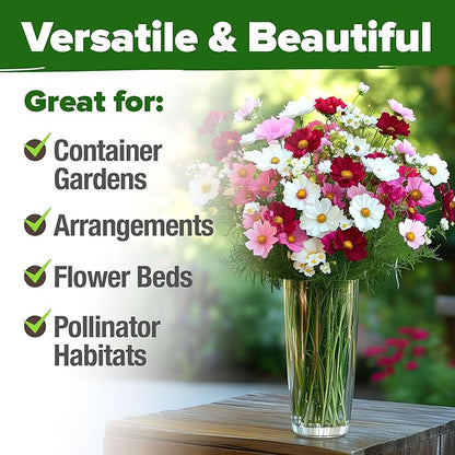 HOME GROWN Cosmos Flower Seeds 8,000 & Premium Monarch Butterfly Wildflower Seeds Mix 20000