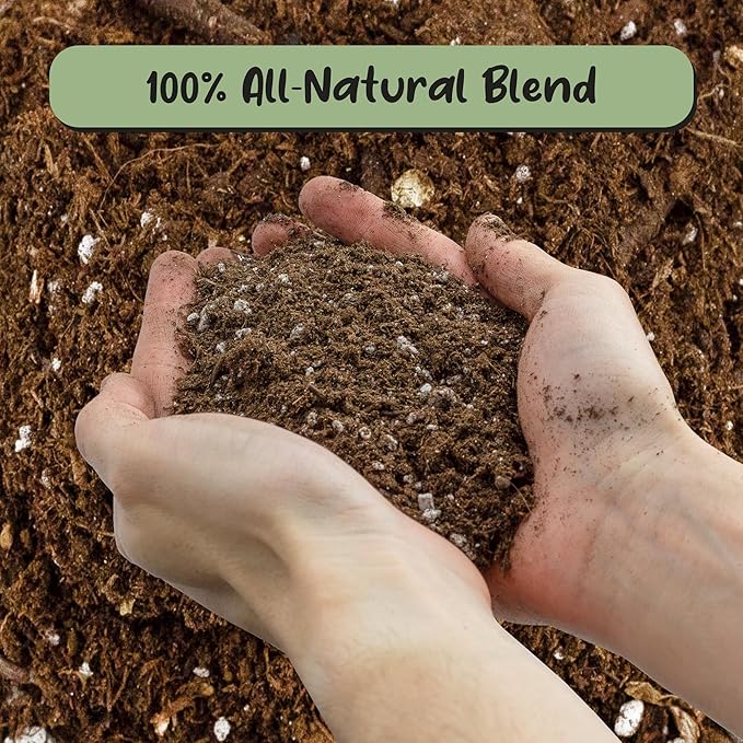 Soil Sunrise Olive Tree Potting Soil Mix (12 Quarts) for Planting, Repotting, and Growing Olive Bushes/Plants