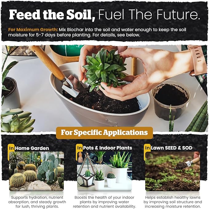 Wakefield Biochar Blend Potting Mix for Cactus & Succulent – Premium Potting Soil Blend with CarbonBoost Technology for Superior Drainage, Moisture Retention & Root Growth – 4 QT Organic Soil Mix