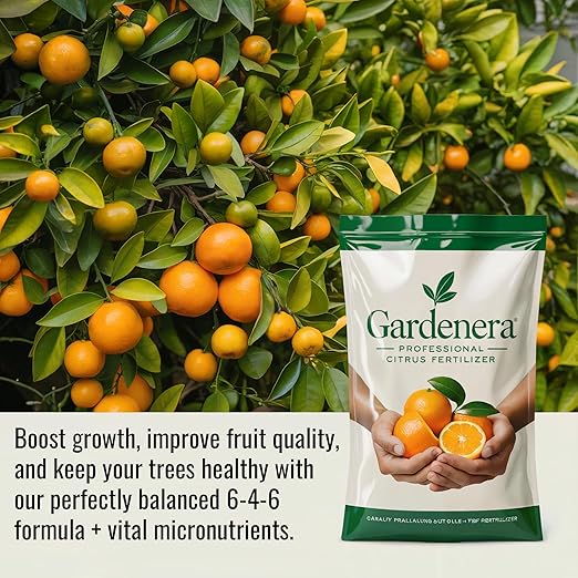 𝐁𝐄𝐒𝐓𝐒𝐄𝐋𝐋𝐄𝐑 Citrus Fertilizer + Vital Micronutrients - Perfect Balanced NPK for All Citrus - for Indoor and Outdoor Plants - Orange, Lime, Avocado and Lemon Tree Fertilizer - 3 QUARTS