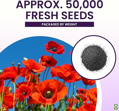 Red Flanders Poppy Seeds for Planting - 50,000+ Fresh Flower Seeds - Grown in The USA - Spring Blooming Wildflower