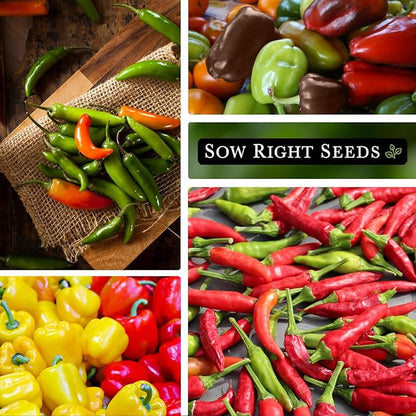 Sow Right Seeds - Hot & Sweet Pepper Seed Collection for Planting - California Wonder, Cubanelle, Sweet Banana, Poblano, Serrano, Sunbright, Cayenne, Anaheim - Non-GMO Heirloom Peppers to Plant