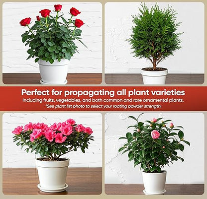 Hormex Rooting Hormone #3 - All-Purpose Rooting Powder for Common Garden & Houseplant Cuttings | Promotes Quick, Strong Roots on a Wide Variety of Plant Cuttings (0.3% IBA)