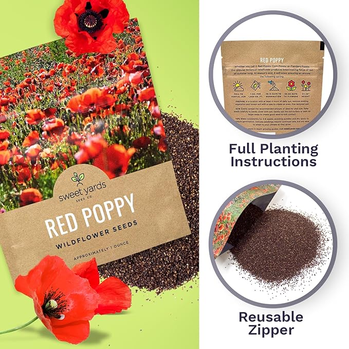 Red Poppy Seeds - Large 1 Ounce Packet - Over 200,000 Flower Seeds