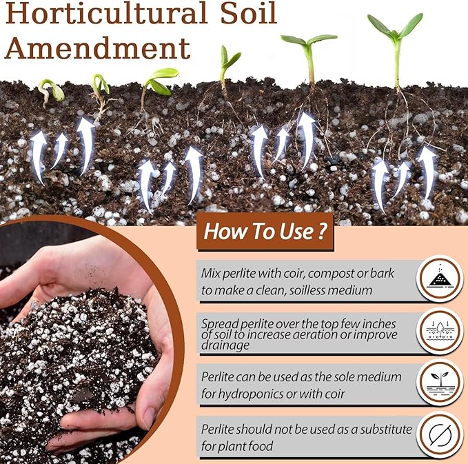 Riare 4 Quarts Organic Perlite for Plants - Horticultural Perlite Soil Amendment for Plants Potting Mix, Natural Chunky Perlite Soil Additive Conditioner Improve Root Growth, Drainage and Ventilation