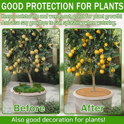 ZeeDix 3 Pack Coconut Fiber Mulch Ring, 14 Inch Coco Coir Tree Ring Mulch Mat, 100% Natural Tree Protector Mat Plant Cover Ring Coconut Coir Discs Tree Mats Mulch Rings for Indoor Outdoor Trees Plants